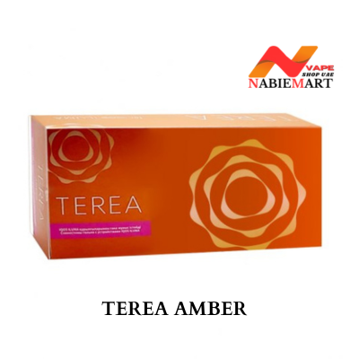 Heets TEREA Amber from Kazakhstan